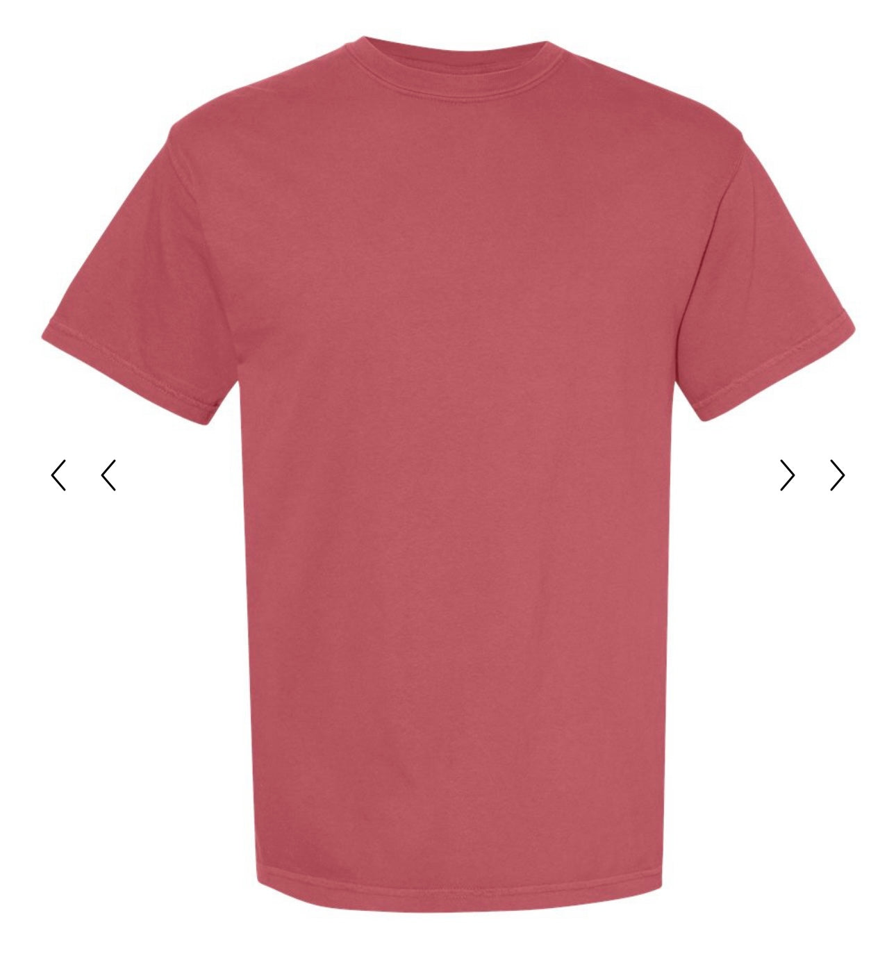 Comfort Colors- Adult TShirt