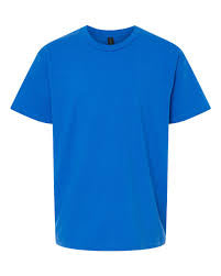 Gildan SoftStyle Tshirt (Youth)