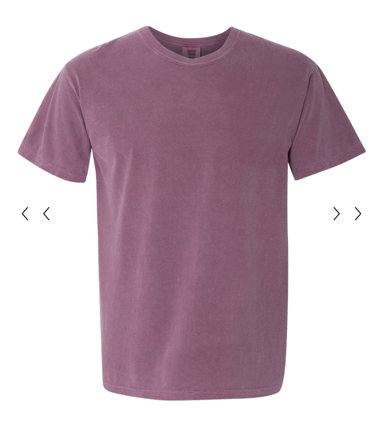 Comfort Colors- Adult TShirt
