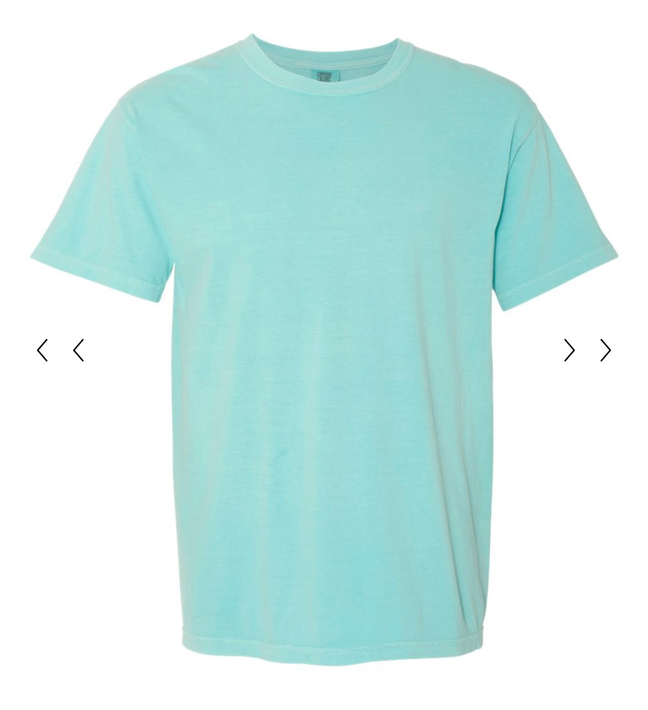 Comfort Colors- Adult TShirt